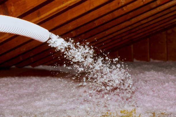 Best Geographic-Specific Insulation Services in Key Vista, FL