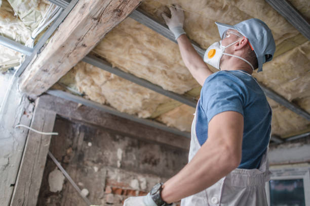 Best Residential Insulation in Key Vista, FL